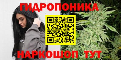 индика Партизанск