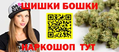 индика Партизанск