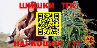 индика Партизанск
