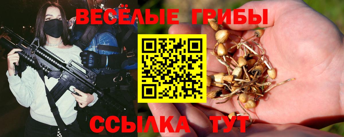 Псилоцибиновые грибы мицелий Саянск