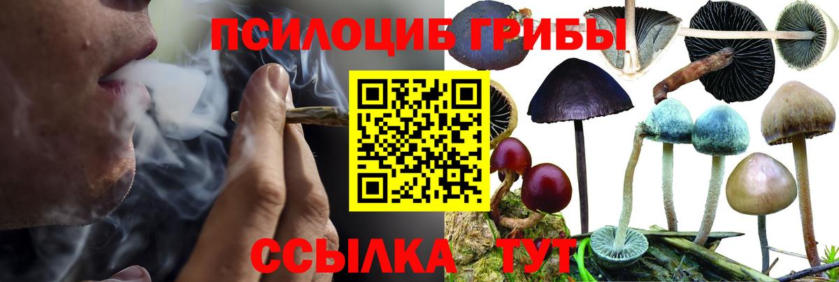 Саянск  Галлюциногенные грибы GOLDEN TEACHER  Вход с VPN  хочу   Галлюциногенные грибы ЛСД 